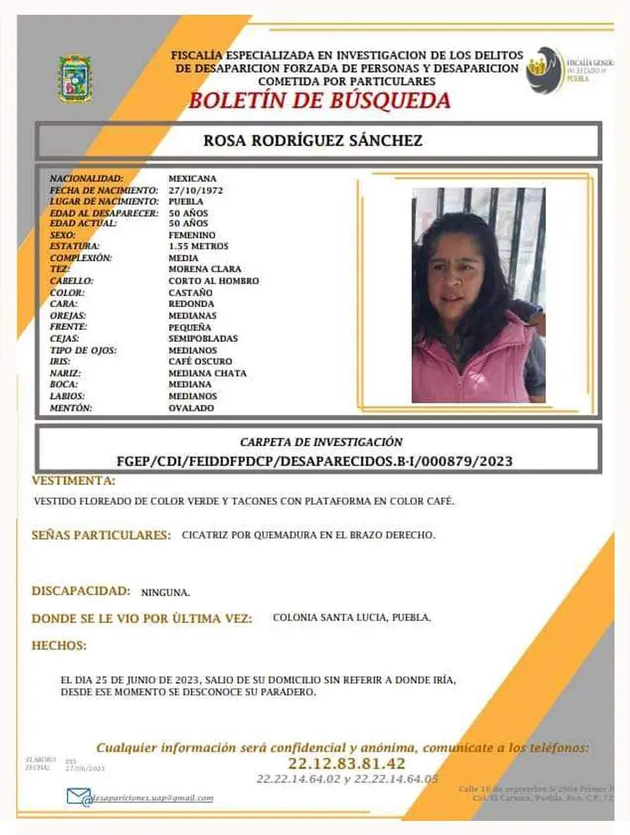 Feminicidio 29: Rosa, desaparecida, fue asesinada al sur de Puebla.