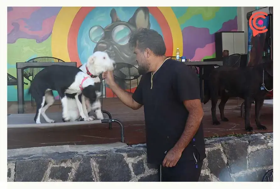 AquatiKan: el primer parque acuático para perros en Puebla.