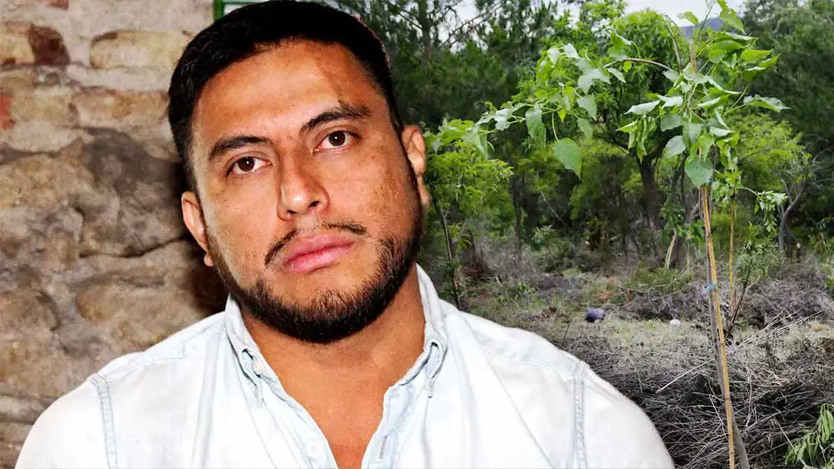Activistas presentan denuncia ante Profepa por tala de 300 encinos en Flor del Bosque