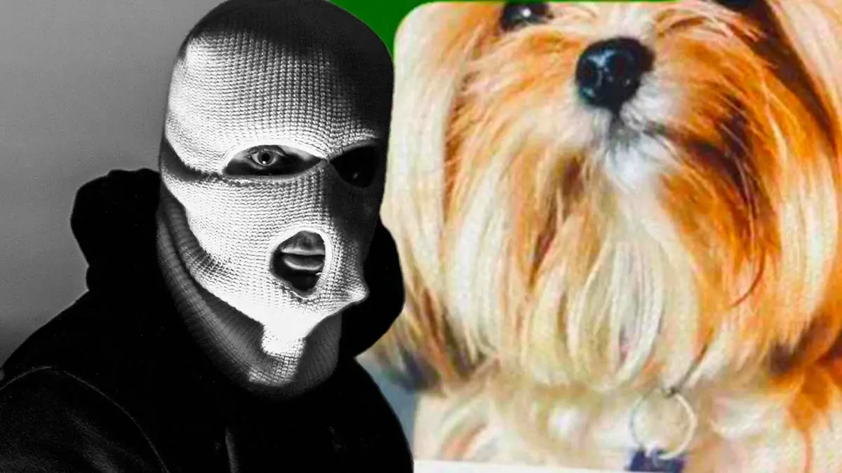 Mujer que se robo a Bombón, una perrita de La Margarita, se niega a entregarla