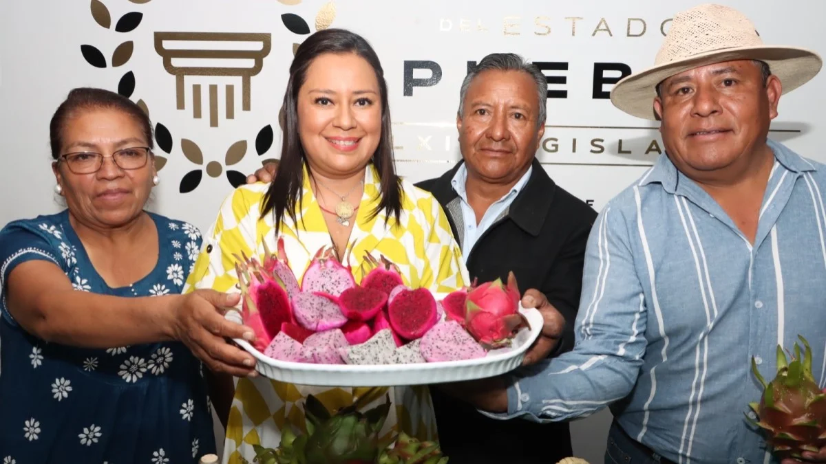 Presentan en el Congreso del Estado la cuarta edición de la Expo Feria Agroartesanal de la Pitahaya de Santa Clara Huitziltepec.