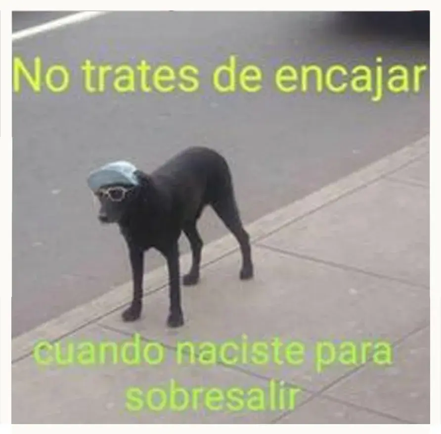 Fotografía para utilizar en cualquier situación