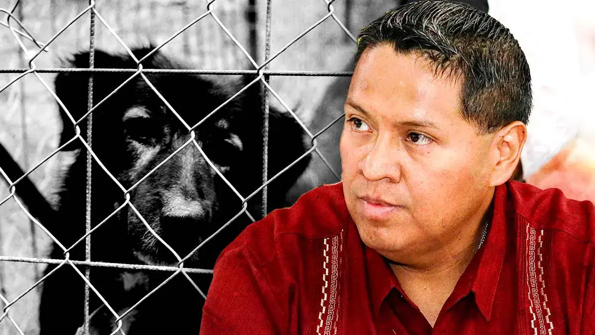 Leobardo Rodríguez admite que acusaron a su cuñado por maltrato animal en Cuautlancingo.